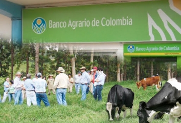 Los productores esperan que haya cambios profundos en los lineamientos establecidos por el Banco Agrario a la hora de aprobar los recursos. Foto: diariodelhuila.com / CONtexto ganadero. créditos, créditos para ganaderos, créditos banco agrario, dificultades créditos banco agrario, ganaderos colombia, ganadería colombia, contexto ganadero