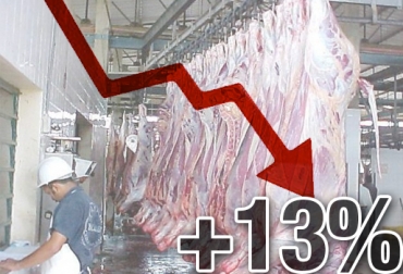 El sacrificio legal cayó 13 % en los primeros 2 meses de 2017, comparado con el mismo período de 2016. Foto: vanguardia.com / CONtexto ganadero Reducción sacrificio legal bovino, baja sacrificio legal bovino Colombia, Cifras sacrificio bovino Colombia, sacrificio bovino Colombia 2016, sacrificio bovino Colombia 2017, sacrificio bovino Colombia fedegán, CONtexto ganadero, ganaderos Colombia