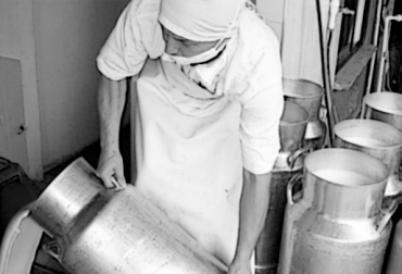 La industria procesadora de leche acopia menos del 50 % de la producción nacional. Foto: lavozdelaregion.co Las importaciones de Colombia de leche van cuesta arriba.
