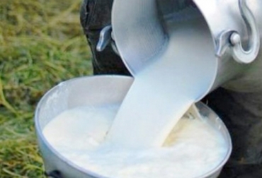 Los productores señalan que empresas como Alquería y Parmalat no subieron el pago de la leche en 7 %. Foto: elcampesino.co Precio de la leche Colombia abril 2017, precio de la leche, precio de la leche colombia, noticias precio de la leche, precio de la leche contexto ganadero, Reforma tributaria, reforma tributaria colombia, ganadería reforma tributaria, CONtexto ganadero, ganaderos Colombia