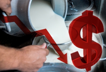Pasteurizadoras ya anunciaron rebajas en el pago de la leche desde $20 hasta $50 por litro. Foto: diariomayabeque.cu / CONtexto ganadero Precio leche mayo 2017, baja precio leche mayo 2017, precio leche ganaderos Antioquia Boyacá Cundinamarca 2017, empresas lácteas bajan precio de leche mayo 2017, pasteurizadoras bajan precio leche mayo 2017, CONtexto ganadero, ganaderos Colombia