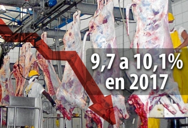 En el primer trimestre del año, el sacrificio de ganado bovino cayó 9,7%, incluyendo exportaciones, y 10,1% en consumo interno. Foto: eluniversal.com.co - CONtexto ganadero Cifras sacrificio bovino Colombia marzo 2017, Reducción sacrificio legal bovino, baja sacrificio legal bovino Colombia, Cifras sacrificio bovino Colombia, sacrificio bovino Colombia 2016, sacrificio bovino Colombia 2017, sacrificio bovino Colombia fedegán, CONtexto ganadero, ganaderos Colombia