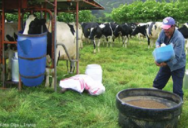 En nuestros campos se produce alrededor de 6.400 millones de litros al año. Foto: CONtexto ganadero. Colombia, Colombia Cifras de la leche 2016, CONtexto ganadero, ganadería Colombia