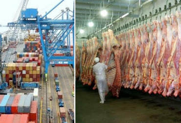 Las ventas a Rusia que ocupan el primer en el primer trimestre de 2017. Foto: definicionabc.com-el país.com.uy Colombia, Colombia exportaciones de carne primer trimestre de 2017, CONtexto ganadero, ganadería Colombia