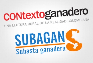 Este diario rectifica la información relacionada con el precio del ganado en Córdoba. Foto: CONtexto ganadero. precio del ganado, precio del ganado en córdoba, precio del ganado en colombia, ganadería colombia, contexto ganadero