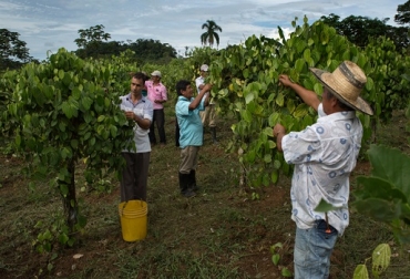 Los productores podrán participar en una rueda de negocios que les permita acceder a capitales para sus negocios. Foto: Cortesía. Expo Agrofuturo, rueda de negocios, rueda de negocios expo agrofuturo, IX Congreso Internacional Agropecuario, IX Congreso Internacional Agropecuario 2017, IX Congreso Internacional Agropecuario Agrofuturo, Ricardo Jaramillo, CONtexto ganadero, ganadería colombia