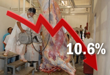 El sacrificio legal de bovinos, en cuanto a consumo interno, bajó 10,6% en el primer semestre de 2017 con respecto al mismo período del año anterior. Foto: elheraldospl.com.mx / CONtexto ganadero Cifras sacrificio bovino Colombia junio 2017, Cifras sacrificio bovino Colombia primer semestre 2017, sacrificio legal de ganado DANE, Cifras DANE sacrificio, Reducción sacrificio legal bovino, baja sacrificio legal bovino Colombia, Cifras sacrificio bovino Colombia, sacrificio bovino Colombia 2017, sacrificio bovino Colombia fedegán, CONtexto ganadero, ganaderos colombia