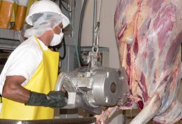 El sacrificio de bovinos destinados al exterior sufrió una reducción del 60% por cuenta de la fiebre aftosa. Foto: llanera.com Cifras sacrificio bovino Colombia agosto 2017, Cifras sacrificio bovino Colombia enero agosto 2017, sacrificio legal de ganado DANE, Cifras DANE sacrificio, Reducción sacrificio legal bovino, baja sacrificio legal bovino Colombia, Cifras sacrificio bovino Colombia, sacrificio bovino Colombia 2017, sacrificio bovino Colombia fedegán, CONtexto ganadero, ganaderos colombia, noticias ganaderas colombia