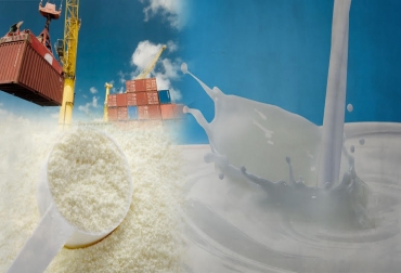 ¿Qué harían ustedes si tuvieran esos USD 90 millones? ¿En qué los invertirían y cómo evidencian los beneficios o efectos negativos de esa inversión para su sector económico y para el país? Foto: CONtexto ganadero. Colombia, leche, producción nacional de leche en-sept 2017, exportaciones colombianas de productos lácteos, Así están acabando las importaciones con la lechería colombiana, impacto de las importaciones lácteas en la ganadería de leche de colombia 2017, Alfonso Santana Díaz, CONtexto ganadero, ganadería Colombia, Noticias ganaderas Colombia