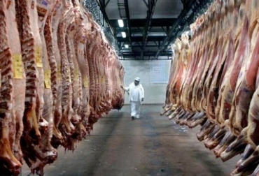 El sacrificio legal de ganado bovino ha bajado 7% en comparación con el 2016. Foto: AgroNews Cifras sacrificio bovino Colombia noviembre 2017, Cifras sacrificio bovino Colombia enero noviembre 2017, sacrificio legal de ganado DANE, Cifras DANE sacrificio, Reducción sacrificio legal bovino, baja sacrificio legal bovino Colombia, Cifras sacrificio bovino Colombia, sacrificio bovino Colombia 2017, sacrificio bovino Colombia fedegán, CONtexto ganadero, ganaderos colombia, noticias ganaderas colombia