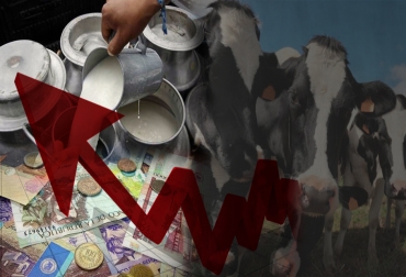 El precio nominal de la leche ha subido, pero así no lo sienten los ganaderos. Foto: El Nuevo Siglo - agroempresario.com.ar . Eleconomistaamerica.co precio leche Colombia 2017, precio leche Colombia diciembre 2017, Valor litro de leche Colombia, precio leche Colombia, ganaderos de leche en Colombia, productores leche Colombia, acopio formal leche Colombia 2017, precio pagado al productor por litro de leche 2017, precio leche Colombia segundo semestre 2017, CONtexto ganadero, ganaderos colombia, noticias ganaderas colombia