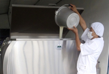El informe muestra que en enero se acopiaron 279 millones de litros de leche en todo el país, menos en Guaviare que no tiene registro. Foto: Sena. Acopio formal leche Colombia enero 2018, Acopio formal leche, producción leche Colombia enero 2018, producción leche Colombia 2017, acopio formal leche 2018, importaciones leche colombia noticias, importaciones de leche en polvo colombia, precio pagado al productor 2018, importaciones de leche en polvo aranceles, importaciones de leche en polvo tlc, CONtexto ganadero, ganaderos colombia, noticias ganaderas colombia