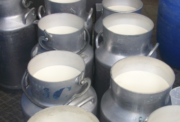 Comparado con el mismo mes de los últimos 6 años, febrero de 2018 ocupó el primer lugar por la cantidad de litros de leche recogidos formalmente. Foto: CONtexto ganadero Acopio formal leche Colombia febrero 2018, Acopio formal leche, producción leche Colombia febrero 2018, producción leche Colombia 2017, acopio formal leche 2018, importaciones leche colombia noticias, importaciones de leche en polvo colombia, precio pagado al productor 2018, importaciones de leche en polvo aranceles, importaciones de leche en polvo tlc, CONtexto ganadero, ganaderos colombia, noticias ganaderas colombia