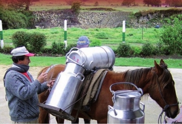 El aumento del precio del litro de leche que se debe pagar al productor coincide con aumentos de importaciones de leche en polvo y una mayor oferta interna de leche líquida, que a la final termina envileciendo el precio al productor. Foto: Carta Fedegán Colombia, Importaciones de leche en polvo, enlechada, enlechada industrial, contingentes de leche en polvo, inventarios de leche en polvo, CONtexto ganadero, ganadería Colombia, Noticias ganaderas Colombia