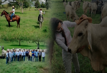 Además de fomentar el conocimiento de la producción pecuario, el agroturismo es otra fuente de ingresos para el ganadero. Foto: Juan Florez / Paquetours Ganadería Turismo, agroturismo, turismo ganadero, diversificar fuentes ingresos negocio ganadero, turismo ganadero sector, turismo ganadero en Colombia, agroturismo en Colombia, CONtexto ganadero, ganaderos colombia, noticias ganaderas colombia