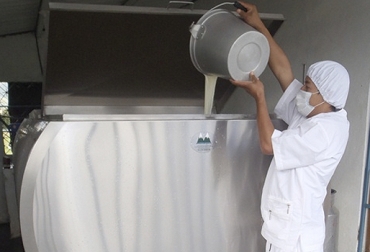 La producción de leche ha mejorado en los 2 últimos años, luego del balance negativo en 2015 y 2016. Foto: http://periodico.sena.edu.co Acopio formal leche Colombia marzo 2018, Acopio formal leche Colombia primer trimestre 2018, producción leche Colombia marzo 2018, producción leche Colombia 2017, acopio formal leche 2018, importaciones leche colombia noticias, importaciones de leche en polvo colombia, precio pagado al productor 2018, importaciones de leche en polvo tlc, CONtexto ganadero, ganaderos colombia, noticias ganaderas colombia