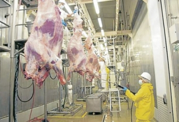 El sacrificio ha venido con tendencia decreciente desde el 2014, acentuada en los últimos meses. Foto: vanguardia.com Cifras sacrificio bovino Colombia marzo 2018, Cifras sacrificio bovino Colombia primer trimestre 2018, Reducción sacrificio legal bovino, baja sacrificio legal bovino Colombia, Cifras sacrificio bovino Colombia, sacrificio bovino Colombia 2018, sacrificio bovino Colombia 2017, sacrificio bovino Colombia fedegán, CONtexto ganadero, ganaderos colombia, noticias ganaderas colombia
