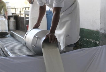 El acopio formal de leche fue estable entre abril de 2017 y abril de este año. Foto: Agromundo. Acopio formal leche Colombia abril 2018, Acopio formal leche Colombia primer trimestre 2018, producción leche Colombia abril 2018, producción leche Colombia 2017, acopio formal leche 2018, importaciones leche colombia noticias, importaciones de leche en polvo colombia, precio pagado al productor 2018, importaciones de leche en polvo tlc, CONtexto ganadero, ganaderos colombia, noticias ganaderas colombia