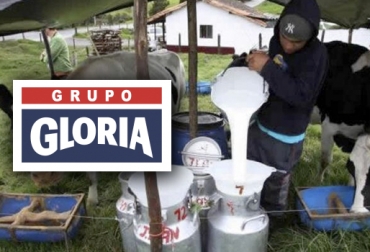 El grupo Gloria, de Petú, entró al país en 2004 cuando adquirió la empresa Algarra, y posteriormente Lechesan (Santander) y California (región Caribe). Foto: Vanguardia Liberal - commons.wikimedia.org Acopio leche Lácteos Gloria, ganaderos Cundinamarca 2018, ganaderos Boyacá 2018, precio leche, producción leche Colombia, precio leche Colombia febrero 2018, Productores de leche, crisis del sector lácteo, crisis de lecheros en Colombia, importaciones de leche, CONtexto ganadero, ganaderos colombia, noticias ganaderas colombia