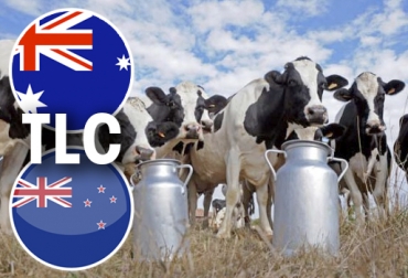 Gremios de las cuencas lecheras de Colombia han exigido al Gobierno que retire al sector de las negociaciones de la Alianza del Pacífico con Australia y Nueva Zelanda. Foto: agronegocions.uniandes.edu.co - country flags TLC colombia alianza del pacifico, TLC con Nueva Zelanda, impacto TLC con Nueva Zelanda, sector lácteo Colombia, producción leche Colombia, Colombia Nueva Zelanda, Alianza del Pacífico, fedegan, Asoleche, Analac, Fedecoleche, CONtexto ganadero, ganadería colombia, noticias ganaderas colombia