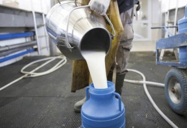 El aumento en el acopio formal no solo se debe a un incremento en la producción, sino al alto precio de la leche en polvo y a la baja de las bonificaciones voluntarias. Foto: Vanguardia Liberal Acopio formal leche Colombia junio 2018, Acopio formal leche Colombia primer semestre 2018, producción leche Colombia junio 2018, producción leche Colombia 2018, acopio formal leche 2018, importaciones de leche en polvo colombia, precio pagado al productor 2018, importaciones de leche en polvo tlc, CONtexto ganadero, ganaderos colombia, noticias ganaderas colombia