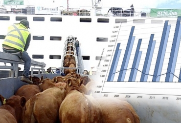 En junio y julio, ningún embarque de ganado en pie salió de nuestros puertos, lo que influyó en la caída del precio del ganado. Foto: PortalPortuario - cronista.com. Exportaciones de ganado en pie Colombia 2018, Exportaciones de carne bovina de Colombia en 2018, precio dólar Colombia, exportaciones de carne bovina, exportaciones de carne bovina en 2018, exportaciones a Jordania Libia Líbano, exportaciones de carne bovina en julio 2018, exportaciones ganado Colombia, CONtexto ganadero, ganadería colombia, noticias ganaderas colombia