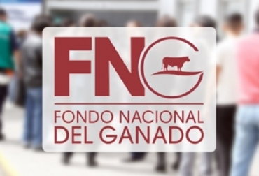 En caso de que éste se liquide el FNG, todos los bienes, incluyendo los dineros del Fondo que se encuentren en cajas o en bancos, una vez cancelados los pasivos, queden a disposición del Gobierno Nacional, dice la ley. Foto: CONtexto gandero Fondo Nacional del Ganado, Superintendencia de Sociedades, Minagricultura recibirá $90.000 millones por liquidación del FNG, Aurelio Iragorri, Fedegán, José Félix Lafaurie, Carlos Alberto Estefan, Ganadería, ganadería colombiana, noticias ganaderas, noticias ganaderas Colombia, CONtexto ganadero