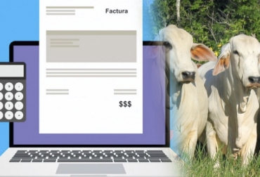 Los ganaderos inscritos en régimen común tendrán que implementar factura electrónica a partir del próximo año. Foto: El Heraldo - agronegocios.uniandes.edu.co. Ganaderos IVA Colombia, ganaderos régimen común IVA, ganaderos declarar IVA, ganaderos factura electrónica 2019, factura electrónica Colombia, ganadería Colombia factura electrónica, ganaderos Colombia factura electrónica, ley 1819 de 2016, Ley 1607 de 2012, CONtexto ganadero, ganaderos colombia, noticias ganaderas colombia