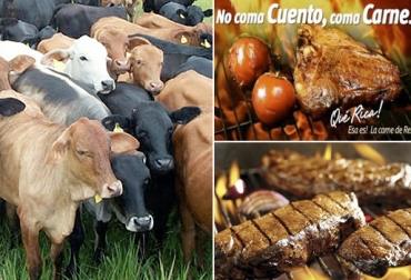 Los ganaderos reclaman campañas de fomento al consumo como la muy conocida "No coma cuento, coma carne" de Fedegán. Foto: SAGO - Nuevo Accion - Fedegan campañas de fomento al consumo de carne, foco aftosa Colombia 2018, especulación precios ganado, campañas de fomento al consumo de carne fedegán, consumo carne Colombia, fedegan, Fondo Nacional del Ganado, no coma cuento coma carne, precios de venta de ganado Colombia, aftosa colombia, CONtexto ganadero, ganaderos colombia, noticias ganaderas colombia