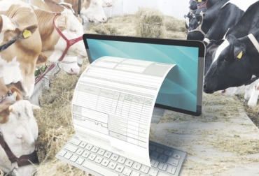 En este año, los productores se vieron obligados a realizar el paso a facturación electrónica como lo estipuló la ley. Foto: Ámbito Financiero Proceso Factura electrónica para ganadería Colombia, proceso factura electrónica, ganaderos régimen común IVA, dudas factura electrónica ganaderos, ganaderos factura electrónica 2019, factura electrónica Colombia, ganadería Colombia factura electrónica, ganaderos Colombia factura electrónica, ley 1819 de 2016, Ley 1607 de 2012, CONtexto ganadero, ganaderos colombia, noticias ganaderas colombia