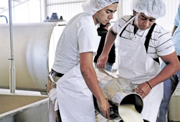 El acopio de leche ha tenido un comportamiento favorable en lo corrido de 2018, superando en la mayoría de veces los resultados de 2017. Foto: Ganaderia.com Acopio formal leche Colombia septiembre 2018, Acopio formal leche Colombia primer semestre 2018, producción leche Colombia septiembre 2018, producción leche Colombia 2018, acopio formal leche 2018, importaciones de leche en polvo colombia, precio pagado al productor 2018, importaciones de leche en polvo tlc, CONtexto ganadero, ganaderos colombia, noticias ganaderas colombia
