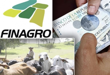 “Sector ganadero es el más activo de la economía agropecuaria pues tiene el 43 por ciento de penetración financiera”, dijo Dairo Estrada. Foto: ambitojuridico.com - Calendario Colombia - finagro.com.co Intensificará inclusión financiera, exclusión social, inclusión financiera baja, sector ganadero activo en crédito, colocaciones, Sistema Nacional de Crédito Agropecuario, Finagro alimentará la inclusión financiera, bajan colocaciones, CONtexto Ganadero, noticias de ganadería colombiana.