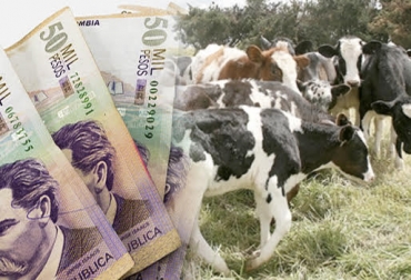 “El Banco Agrario tiene a su disposición 1.160 asesores comerciales que estarán en contacto con los ganaderos de todo el país”, dijo Francisco José Mejía. Foto: Xataka Colombia - ica.gov.co Banco Agrario, formación bruta de capital, mejoramiento productivo, inversión en productividad, problema de productividad, penetración del crédito agropecuario, tecnología, fuerza comercial del Banco Agrario, CONtexto ganadero, noticias de ganadería colombiana.