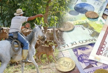 “El flujo de caja es una herramienta que permite visualizar el negocio en el corto, mediano y largo plazo”, dijo Jorge Humberto García. Foto: atodomomento.com - ElEconomistaAmerica.co Flujo de caja, herramienta de organización, buenas prácticas, información del negocio, proyección sistemática, lechería especializada, ceba, silvopastoriles, CONtexto ganadero, noticias de ganadería colombiana.