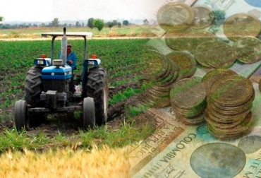 El presupuesto mejoró considerablemente en comparación con el proyecto de Ley presentado por el exministro de Hacienda, Mauricio Cárdenas. Foto: imagenagropecuaria.com. ganadería, ganadería colombia, noticias ganaderas, noticias ganaderas colombia, contexto ganadero, economía, economía agropecuaria, presupuesto agro, presupuesto agro 2019, presupuesto general de la nación, recursos ministerio de agricultura, recursos minagricultura 2019, ministerio de agricultura, andrés valencia pinzón,