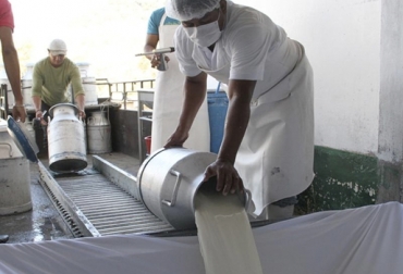 El acopio formal de leche creció en 2018 gracias, en parte, a un aumento de la producción en el país. Foto: elproductor.com Acopio formal leche Colombia noviembre 2018, Acopio formal leche Colombia 2018, producción leche Colombia noviembre 2018, producción leche Colombia 2018, acopio formal leche 2018, importaciones de leche en polvo colombia, precio pagado al productor 2018, importaciones de leche en polvo tlc, CONtexto ganadero, ganaderos colombia, noticias ganaderas colombia
