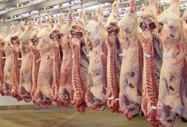Colombia aún no alcanza el volumen de exportaciones que registró hace una década, cuando vendía carne a Venezuela. Foto: DeFrentealCampo Exportaciones carne noviembre 2018, exportaciones carne FEP 2018, Fondo de Estabilización de Precios, Exportaciones de ganado en pie Colombia 2018, Exportaciones de carne bovina de Colombia en 2018, precio dólar Colombia, exportaciones de carne bovina, exportaciones de carne bovina en 2018, exportaciones de carne bovina en noviembre 2018, exportaciones ganado Colombia, CONtexto ganadero, ganadería colombia, noticias ganaderas colombia