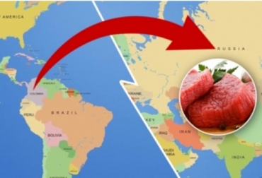 Colombia exportó a Rusia en 2018, 17 mil 301 toneladas, lo cual indica que hacia el mercado ruso se envió el 65.8 % del total exportado por Colombia en carne. Foto: Contexto ganadero Colombia, exportaciones de Carne, Rusia, Exportaciones de carne colombiana a Rusia, Fiebre Aftosa, se avizora reapertura del mercado de la carne colombiana en Rusia, Contexto ganadero, noticias ganaderas, carne