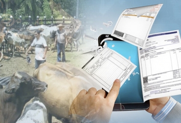 Los ganaderos que inscritos en el regímen común del IVA están obligados a presentar factura electrónica a partir del 1 de enero. Foto: Actualícese - CONtexto ganadero Proceso Factura electrónica para ganadería Colombia, proceso factura electrónica, ganaderos régimen común IVA, dudas factura electrónica ganaderos, ganaderos factura electrónica 2019, factura electrónica ley de financiamiento, factura electrónica Colombia, ganadería Colombia factura electrónica, ganaderos Colombia factura electrónica, ley 1943 de 2018, ley 1819 de 2016, Ley 1607 de 2012, CONtexto ganadero, ganaderos colombia, noticias ganaderas colombia