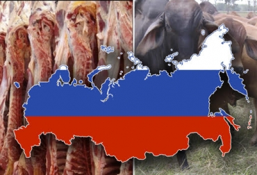 “Es probable que se registre el aumento de los precios de ganado de manera generalizada”, dijo Alejandro Peláez. Foto: Inciclopedia - Wikia - AllBiz - ica.gov.co Reapertura de Rusia dinamizaría la ganadería, contactos comerciales con Rusia, apertura es importante para empresarios exportadores, ganaderos auguran aumento de precios del ganado, Minerva Foods, Expoganados Internacional S.A.S. CONtexto ganadero, noticias de ganadería colombiana.
