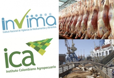 Según las cifras de exportaciones certificadas por el ICA y el Invima, el envío de ganados en pie tuvo una fuerte caída en 2018. Foto: ica.gov.co - @invimacolombia - Ámbito - Todo el campo Exportación de ganado en pie y carne en 2018 certificadas por ICA e Invima, Exportaciones carne octubre 2018, Exportaciones de ganado en pie Colombia 2018, Exportaciones de carne bovina de Colombia en 2018, precio dólar Colombia, exportaciones de carne bovina, exportaciones de carne bovina en 2018, exportaciones a Jordania Libia Líbano, exportaciones de carne bovina en octubre 2018, exportaciones ganado Colombia, CONtexto ganadero, ganadería colombia, noticias ganaderas colombia