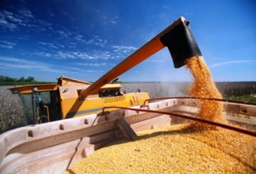 Este tipo de iniciativas generan seguridad alimentaria al país y aportan a la competitividad de las siguientes cadenas, que son especialmente las proteínas, dijo el ministro Andrés Valencia Pinzón. Foto: eldia.com.bo Colombia, Con investigación Colombia buscará la autosuficiencia en la producción de maíz, Agrosavia, Cimmyt, convenio Agrosavia-Cimmyt para producción de nuevas variedades de semillas y transferencia a agricultores, reducirán costos en la producción de maíz, sustituirán importaciones de maíz, contexto ganadero, noticias ganaderas, economía