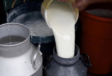 En enero de 2019 se acopiaron menos litros formalmente debido a la caída en la producción por el verano. Foto: TN8 Acopio formal leche Colombia enero 2019, Acopio formal leche, recolección de leche en Colombia, producción leche Colombia enero 2019, producción leche Colombia 2019, acopio formal leche 2018, importaciones de leche en polvo colombia, precio leche cruda Colombia enero 2019, precio leche cruda Colombia, precio pagado al productor 2019, importaciones de leche en polvo aranceles, importaciones de leche en polvo tlc, CONtexto ganadero, ganaderos colombia, noticias ganaderas colombia