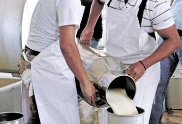 Hace 3 años no se registraba un acopio formal de leche tan bajo, precisamente en febrero de 2016. Foto: kapitalstereo.com Acopio formal leche Colombia febrero 2019, Acopio formal leche, recolección de leche en Colombia, producción leche Colombia febrero 2019, producción leche Colombia 2019, acopio formal leche 2018, importaciones de leche en polvo colombia, precio leche cruda Colombia febrero 2019, precio leche cruda Colombia, precio pagado al productor 2019, importaciones de leche en polvo aranceles, importaciones de leche en polvo tlc, CONtexto ganadero, ganaderos colombia, noticias ganaderas colombia