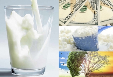 Debido al incremento de las importaciones, algunos expertos señalan que el valor de la leche líquida en Colombia lo fijan factores ajenos al productor en el ámbito internacional. Foto: bancodealimentos.org.ar - Global Sources - globalviti.com precio leche Colombia, Actualización pago leche 2019, factores precio leche Colombia, cartilla informativa pago leche Colombia, Pago leche bonificaciones, bonificaciones industria láctea, precio litro de leche colombia, Producción de leche en Colombia, leche Colombia, Precio leche noticias 2019, aumento precio leche 2019, rentabilidad de las ganaderías de leche, ganadería de leche, CONtexto ganadero, ganaderos colombia, noticias ganaderas colombia