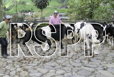 Son muchos los beneficios que el ganadero obtiene con el Registro de Sanitario de Predio Pecuario. Foto: ica.gov.co ganadería, ganadería colombia, noticias ganadera colombia, contexto ganadero, , ganaderos, ganaderos Colombia, predios, documentos, tierras, registro, sanidad, registro sanitario de predio pecuario, pecuario, ica, instituto Colombia de agropecuaria, programas, requisitos