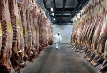 El sacrificio cayó un 2,3% con respecto al mismo mes del año anterior, que representa poco más de 7.000 cabezas de ganado. Foto: AgroNews sacrificio colombia, sacrificio ganado bovino Colombia, encuesta sacrificio ganado 2019, Cifras sacrificio bovino Colombia febrero 2019, Cifras sacrificio bovino Colombia febrero 2018, Reducción sacrificio legal bovino, baja sacrificio legal bovino Colombia, Cifras sacrificio bovino Colombia, sacrificio bovino Colombia 2018, sacrificio bovino Colombia 2019, sacrificio bovino Colombia fedegán, CONtexto ganadero, ganaderos colombia, noticias ganaderas colombia