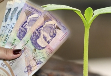 Según Aristizábal, la idea no es pensar en los créditos como recursos fáciles o 'plata barata', sino en una forma de invertir en la finca. Foto: finagro.com.co - Vanguardia Liberal Crédito agropecuario, seminario Asodoble caracterización predios, seminario Asodoble elaboración proyectos viables, Proyectos ganaderos, financiación para proyectos ganaderos, proyectos ganaderos Banco Agrario, créditos sector ganadero, créditos agropecuarios, Seminario Centro Capacitación Agropecuaria Asodoble, Asociación Colombiana de Criadores de Ganado en Doble Propósito, Asodoble, seminario Asodoble mayo 2019, CONtexto ganadero, ganaderos colombia, noticias ganaderas colombia