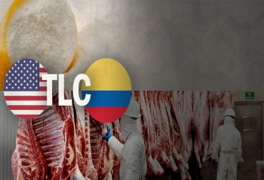 En estos 7 años, Colombia ha importado grandes cantidades de leche en polvo, en tanto que no ha enviado un solo kilo de carne. Foto: Praderas Huastecas - Andina - country flags TLC Colombia Estados Unidos 7 años ganadería leche carne, TLC Colombia Estados Unidos 7 años, TLC Colombia Estados Unidos sector ganadero, TLC Colombia Estados Unidos 2012-2019, Avances TLC Colombia Estados Unidos, Tratado Libre Comercio Colombia Estados Unidos Sector Ganadero, sector ganadero TLC 7 años, CONtexto ganadero, ganaderos colombia, noticias ganaderas colombia