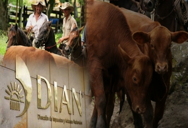 La DIAN tiene en su página web una herramienta-simulador que permite determinar el valor a pagar del impuesto y los beneficios de acogerse al RST comparado con el régimen actual, indica el director de la DIAN, José Andrés Romero Tarazona. Foto: Fedegán - dian.gov.co Colombia, tributación, DIAN, Régimen Simple de Tributación (RST), Ley 1943 de 2018, Ley de Financiamiento, José Andrés Romero Tarazona, facturación en el sector ganadero, informalidad, renta presuntiva, retención en la fuente, flujo de caja. CONtwexto ganadero, noticias ganaderas de Colombia, tributación ganaderos